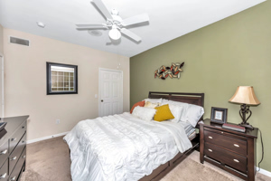 Enclave-at-Copperfield 43